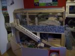 100_2434.jpg
