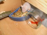 mini!!!&Hamsti Bamstii 043.jpg