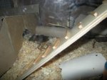 DSCN1138.jpg