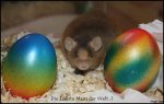 IMG_2550.jpg