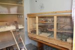 IMG_3862.jpg