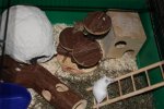 IMG_7454.jpg