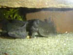 DSC03517.jpg
