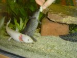 DSC03535.jpg