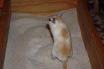 IMG_7769.jpg