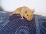 28032010022.jpg