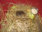 DSC03189.jpg