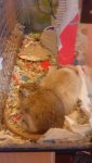 DSC04192.jpg