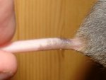 DSC04317.jpg