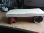 DSC00924.jpg