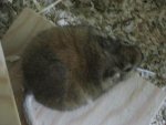 IMG_2427.JPG