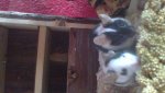 28082010594.jpg