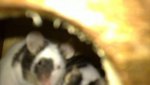 28082010585.jpg