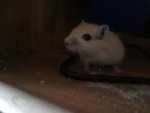28082010149.jpg