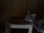 28082010151.jpg