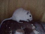 28082010180.jpg