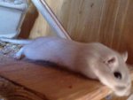 31072010063.jpg