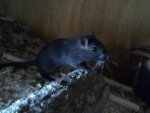29072010053.jpg