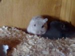 25072010030.jpg