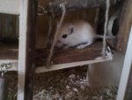 28082010181.jpg