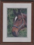 Jacomo 002.jpg