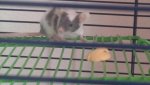10082010052.jpg