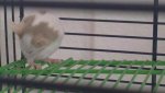 10082010053.jpg