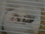 26082010071.jpg