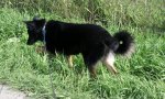 Foto114.jpg