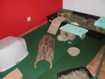 DSCN3688.jpg
