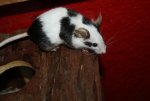 IMG_3826.jpg