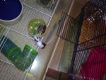 21092010140.jpg