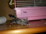 IMGP0302.jpg