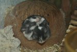 DSC03551.jpg