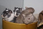 DSC05526.jpg