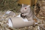 DSC05535.jpg