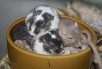DSC05663.jpg