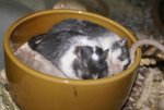DSC05669.jpg
