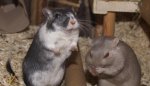 DSC057261.jpg