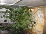 2010 263.jpg