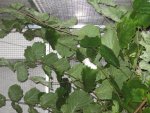 2010 264.jpg