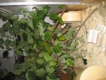 2010 265.jpg