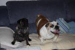 IMG_9830.JPG
