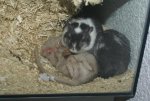 DSC03591.jpg
