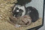 DSC03602.jpg