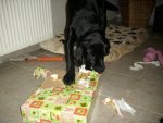 Geburtstag (8).JPG