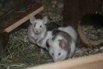 IMG_6540.JPG