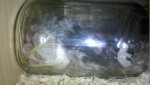 2010-10-24_19-10-22_993_Lampertheim.jpg