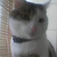 Circe