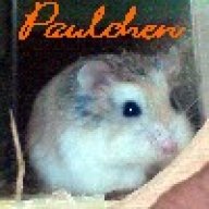 Little_Franzi